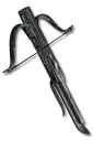 Pus Spiter
